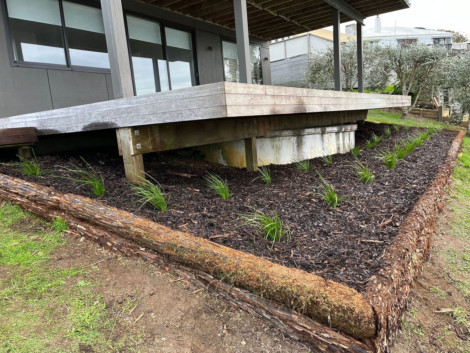 Garden recovery and new planting Waiheke Island