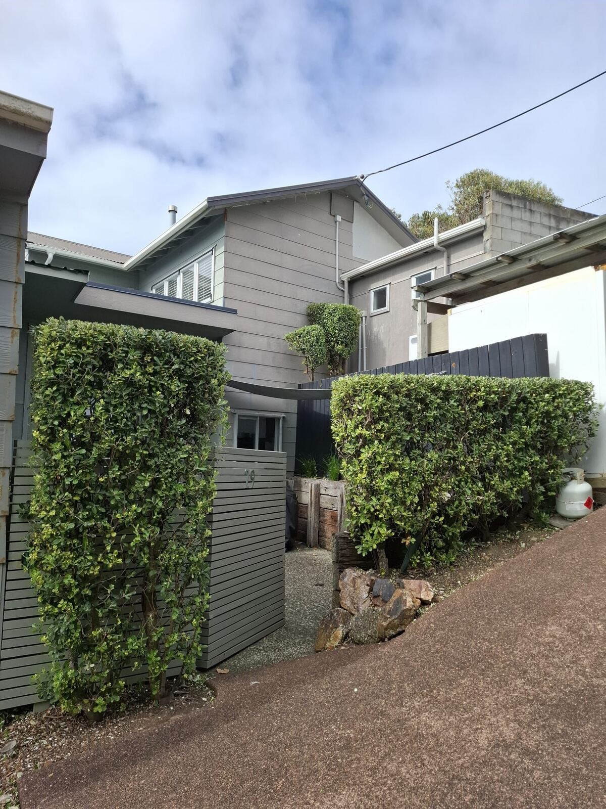 Clean hedge trimming with sea view Waiheke