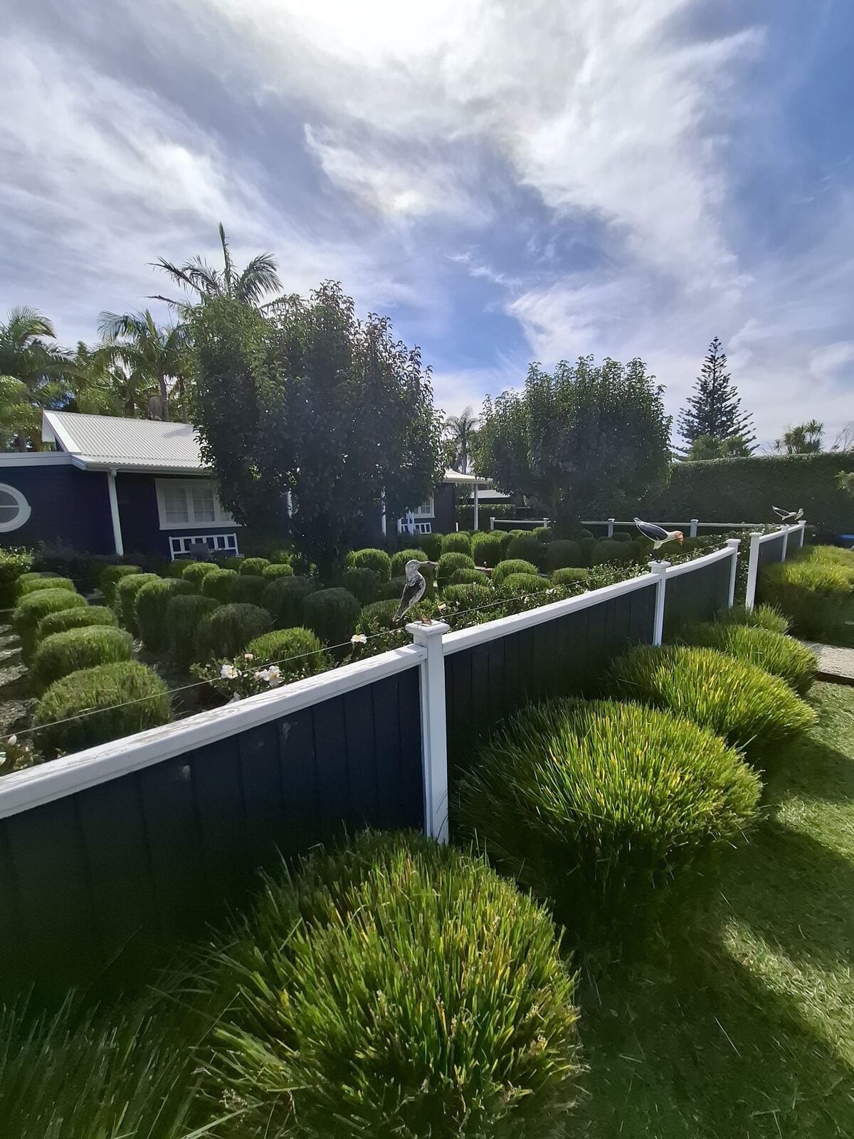 Ornamental garden maintenance Waiheke Island