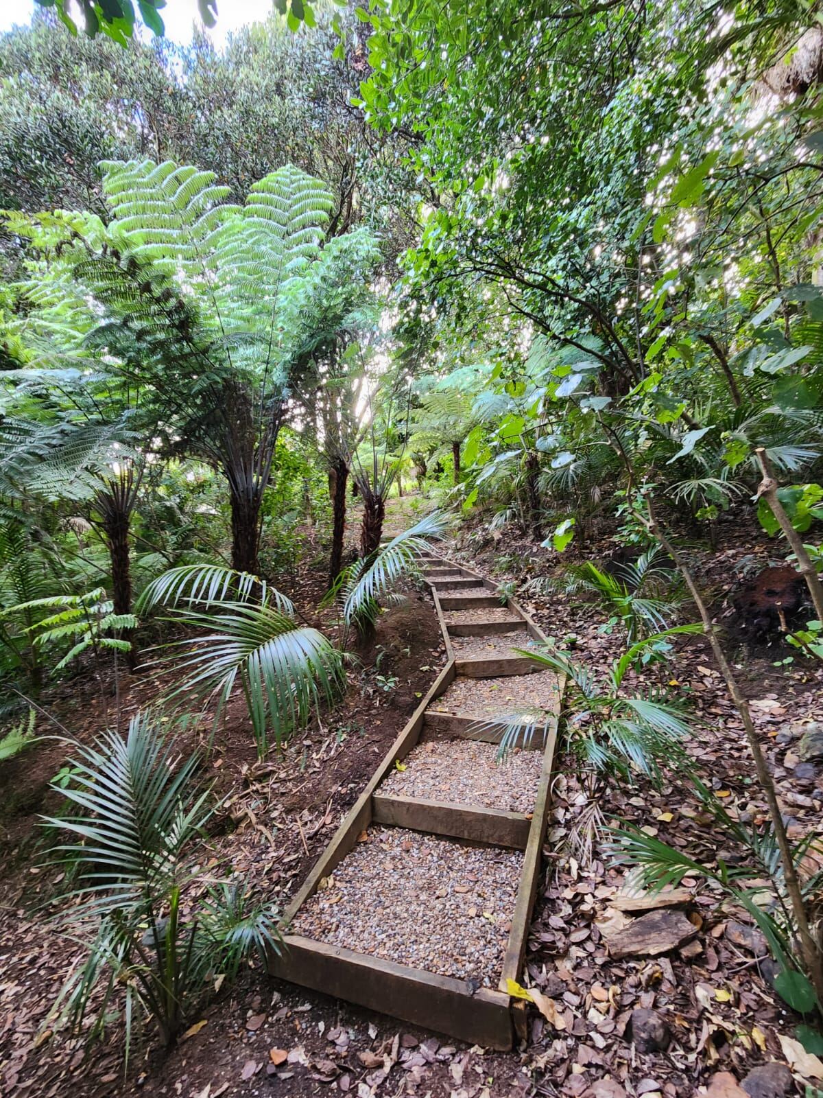 Garden steps through native bush Waiheke
